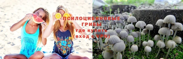 Альфа ПВП Верхний Тагил