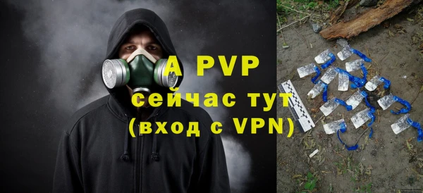 Альфа ПВП Верея