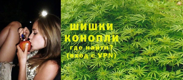 Альфа ПВП Верея